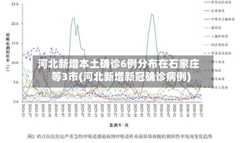 河北新增本土确诊6例分布在石家庄等3市(河北新增新冠确诊病例)