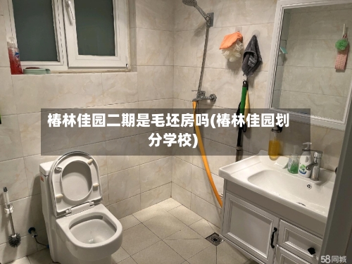 椿林佳园二期是毛坯房吗(椿林佳园划分学校)-第2张图片