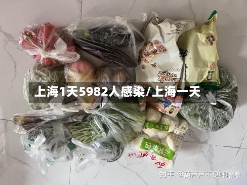 上海1天5982人感染/上海一天