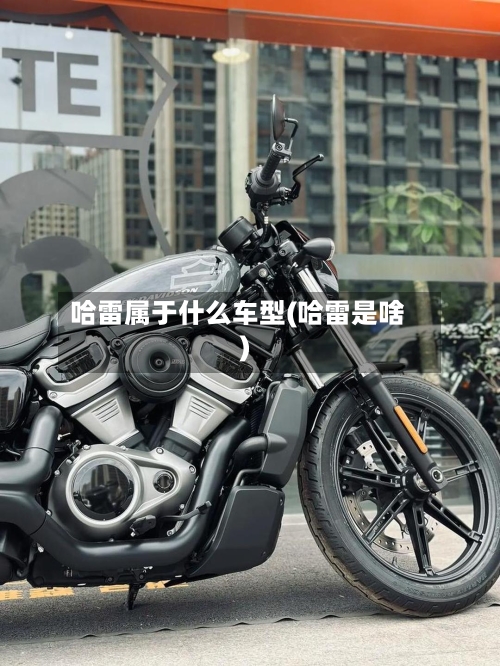 哈雷属于什么车型(哈雷是啥)-第2张图片