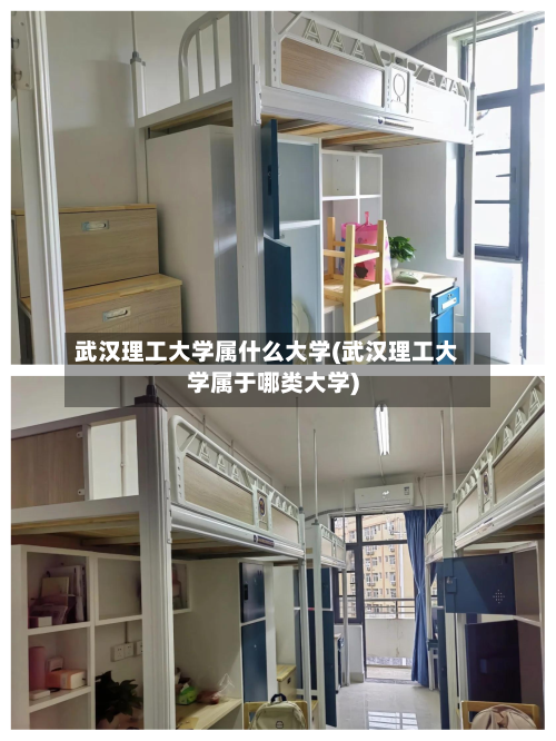 武汉理工大学属什么大学(武汉理工大学属于哪类大学)-第1张图片